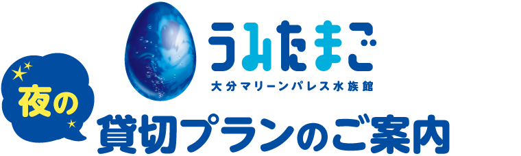 うみたまご　夜の貸切プランのご案内