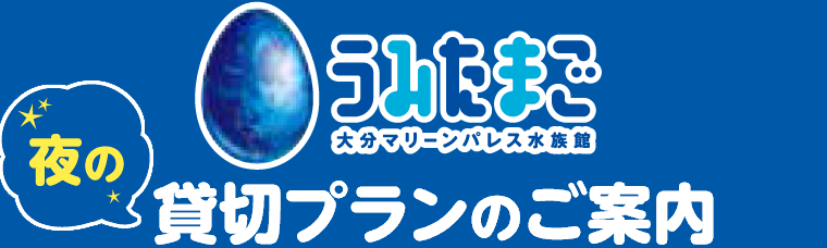 ううみたまご 夜の貸切プランのご案内